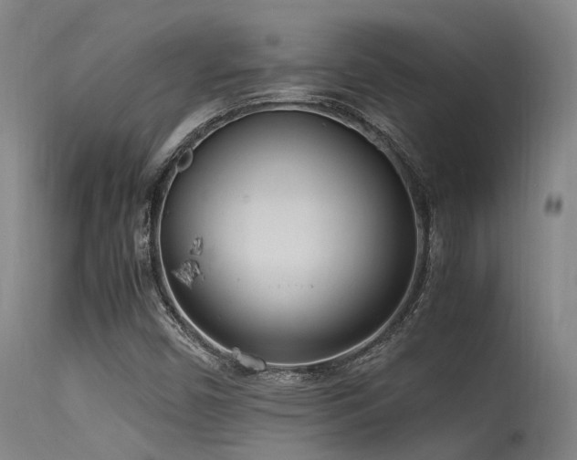 X0000115641450200911101505