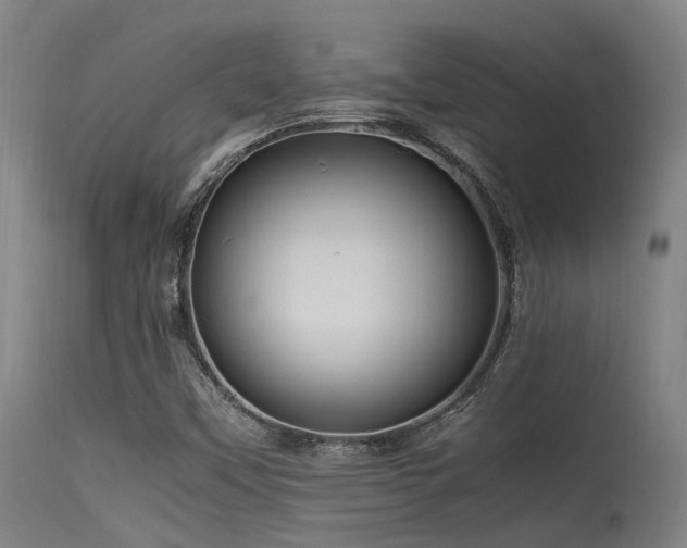 X0000115641451200911101505