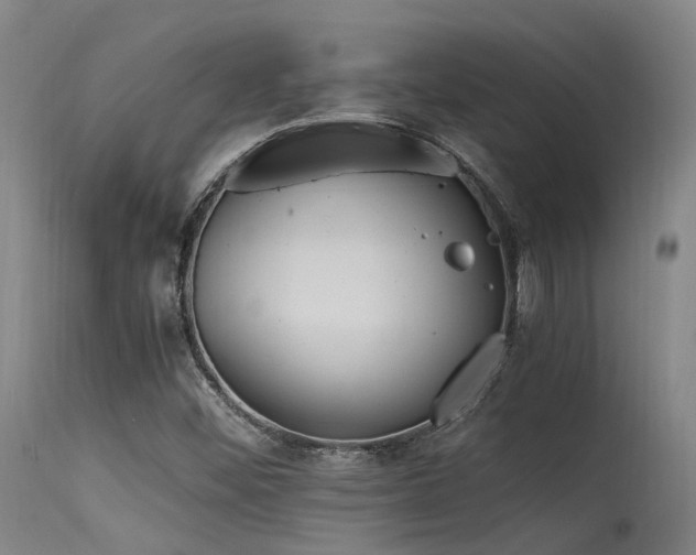 X0000115641452200911101505