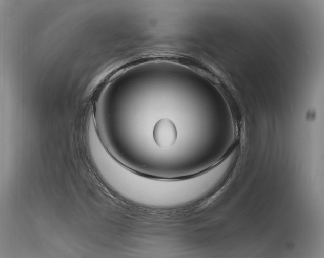 X0000115641453200911101505