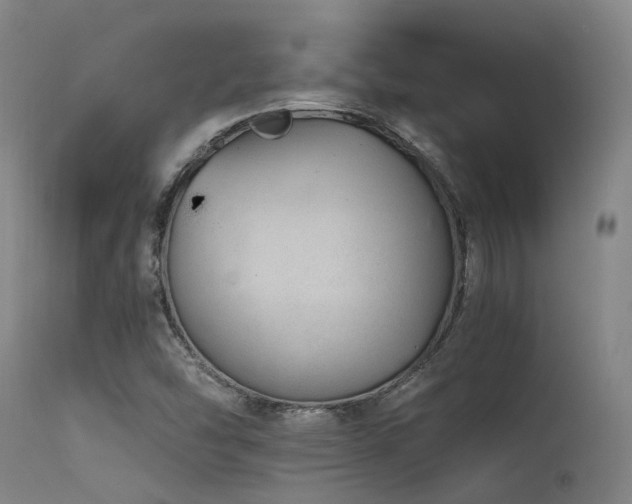 X0000115641454200911101505