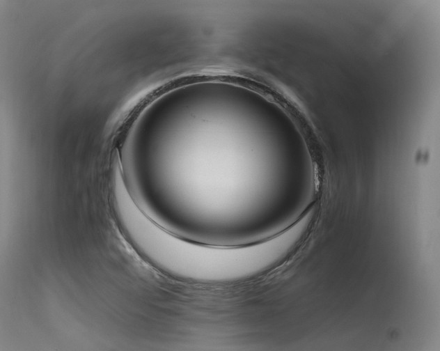 X0000115641456200911101505
