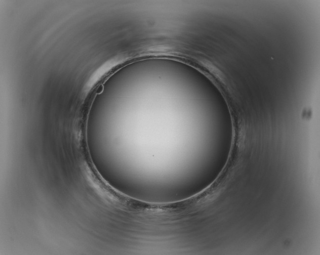 X0000115641458200911101505