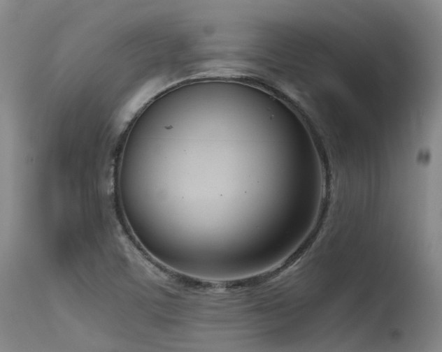 X0000115641459200911101505