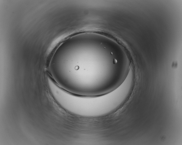 X0000115641461200911101505