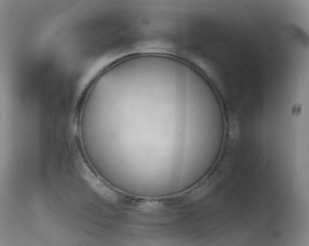 X0000115641462200911101505