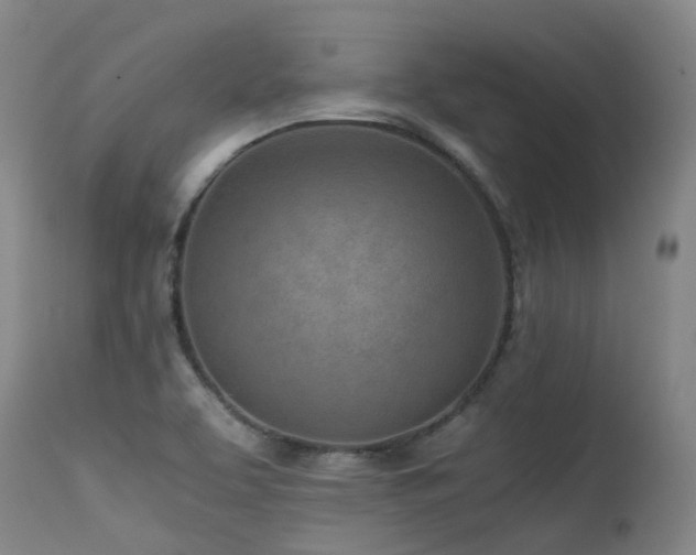 X0000115641463200911101505