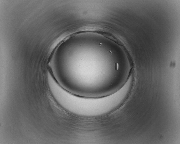 X0000115641465200911101505