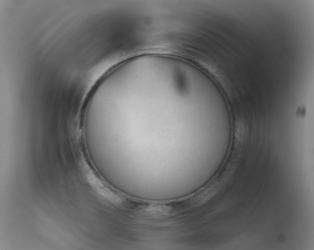 X0000115641466200911101505