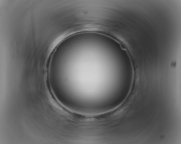 X0000115641467200911101505