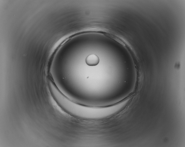 X0000115641468200911101505