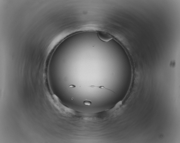 X0000115641469200911101505