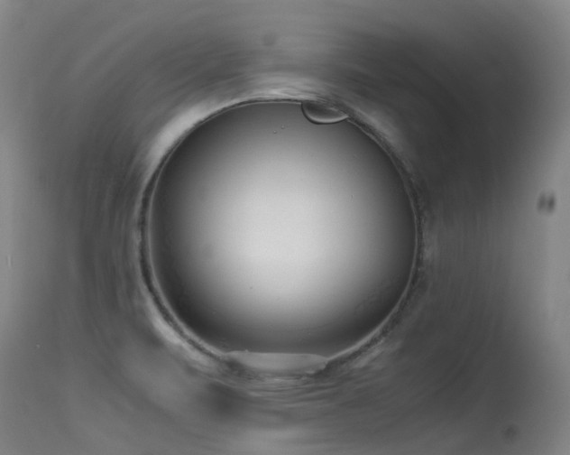 X0000115641471200911101505