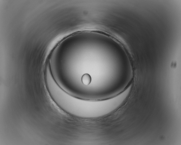 X0000115641472200911101505