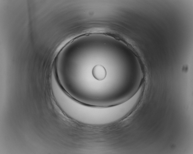 X0000115641473200911101505