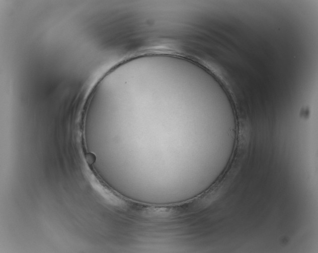 X0000115641474200911101505