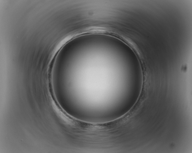 X0000115641475200911101505