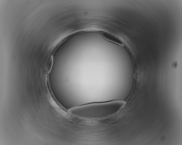 X0000115641476200911101505