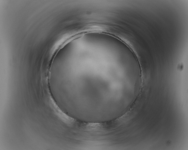 X0000115641477200911101505
