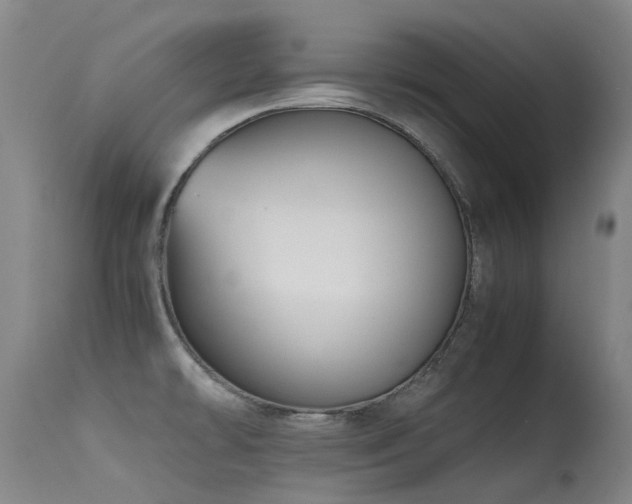 X0000115641478200911101505