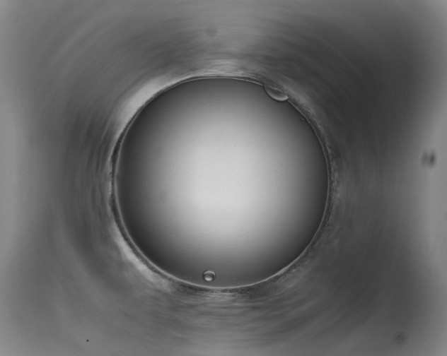 X0000115641479200911101505