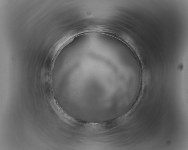 X0000115641481200911101505