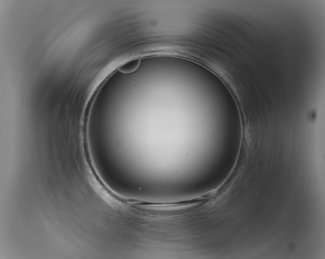 X0000115641482200911101505