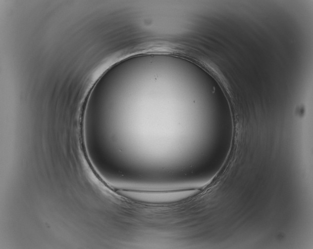 X0000115641483200911101505