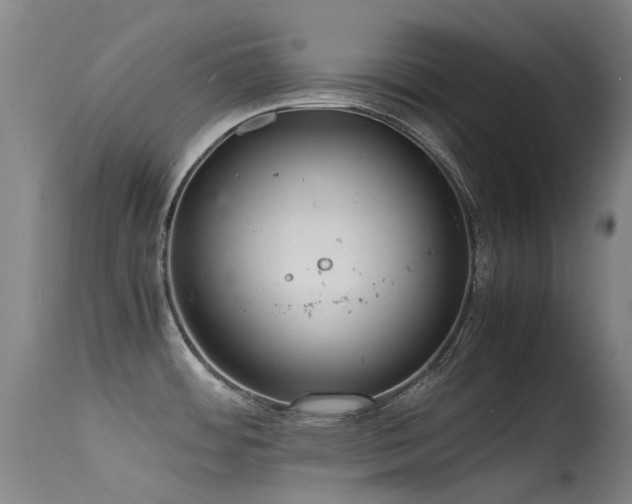 X0000115641484200911101505