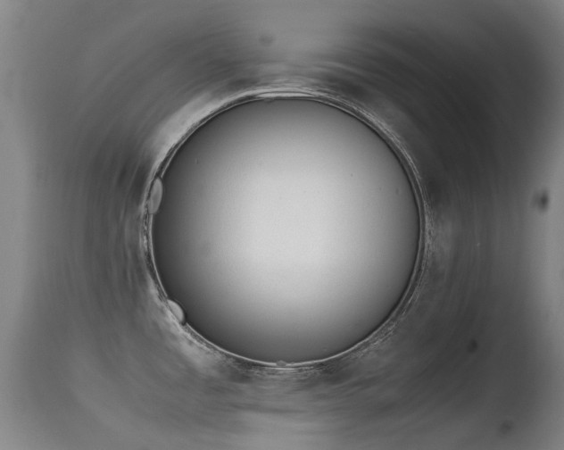 X0000115641485200911101505