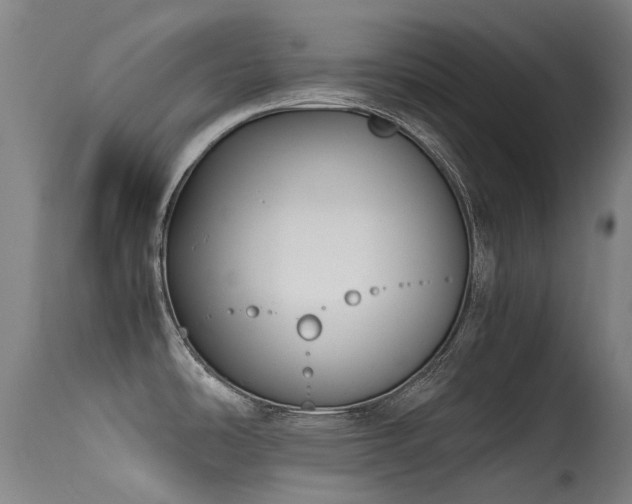 X0000115641486200911101505