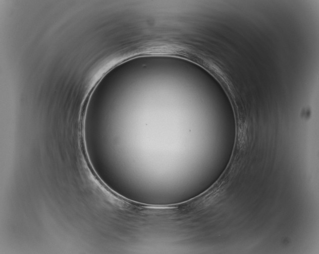X0000115641487200911101505