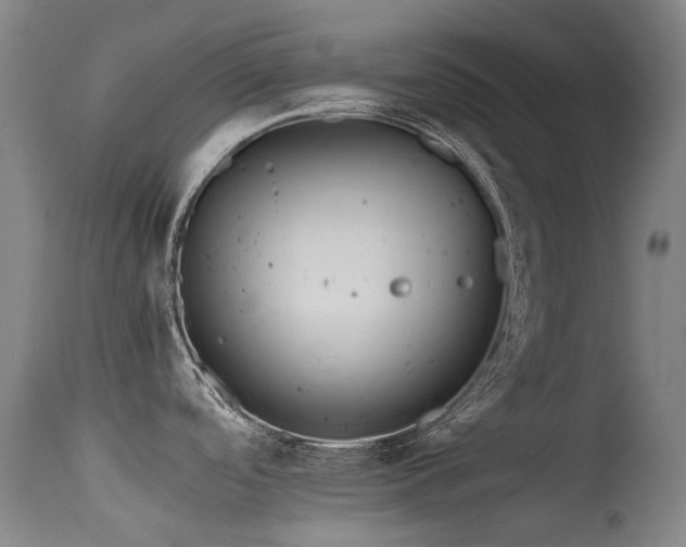 X0000115641488200911101505