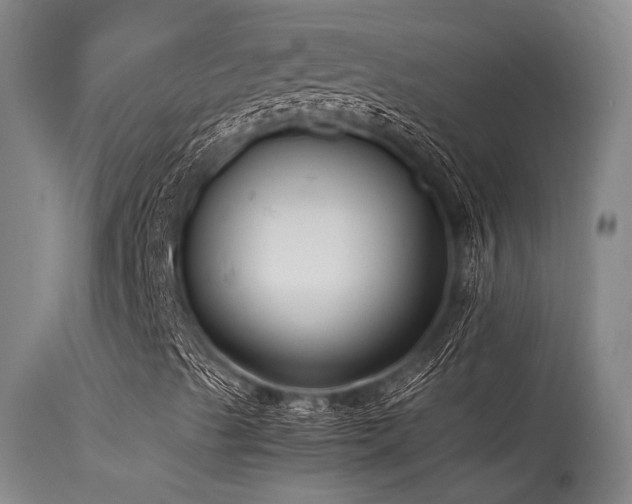 X0000115641489200911101504