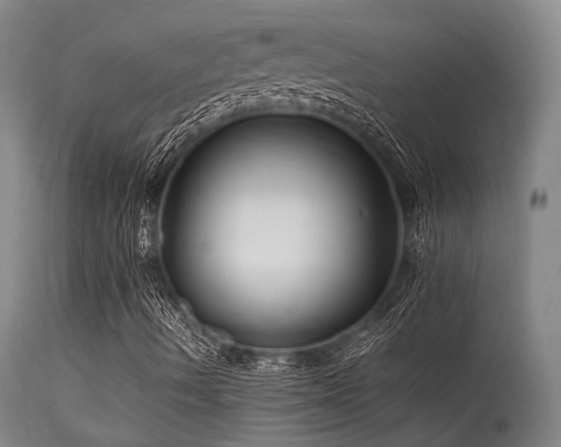 X0000115641490200911101504