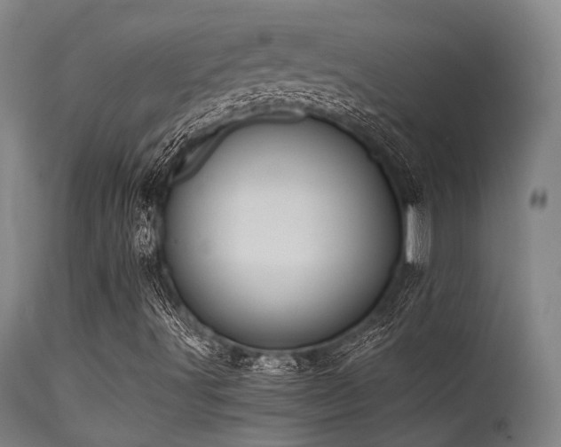 X0000115641491200911101504