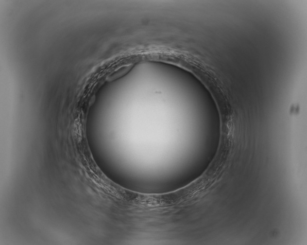X0000115641493200911101504