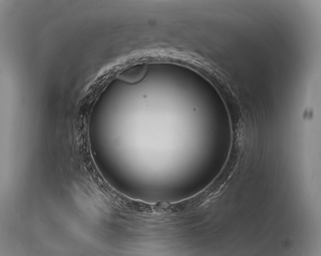 X0000115641494200911101504