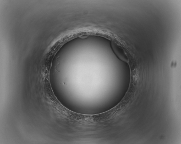 X0000115641495200911101504