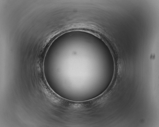 X0000115641497200911101504
