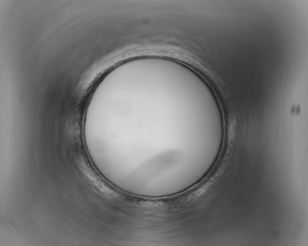 X0000115641498200911101504
