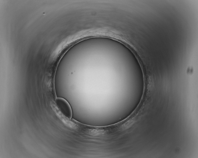X0000115641499200911101504