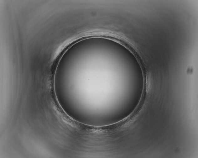 X0000115641501200911101504