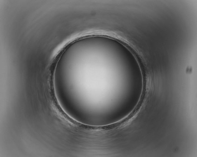 X0000115641502200911101504