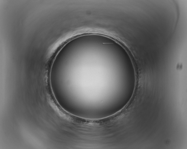 X0000115641503200911101504