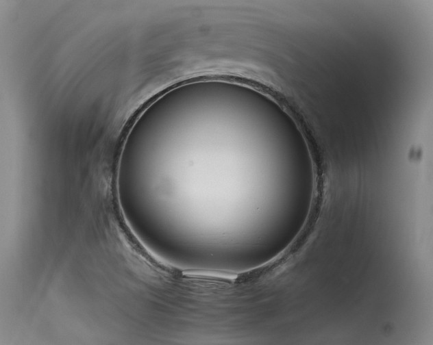 X0000115641505200911101504