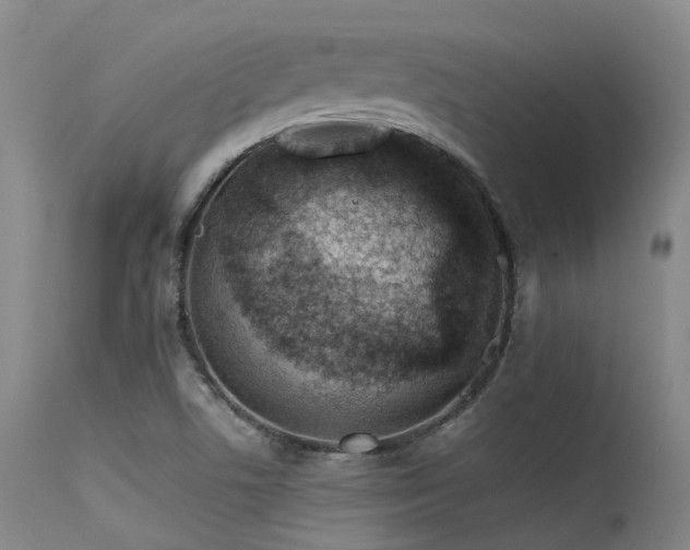 X0000115641506200911101504
