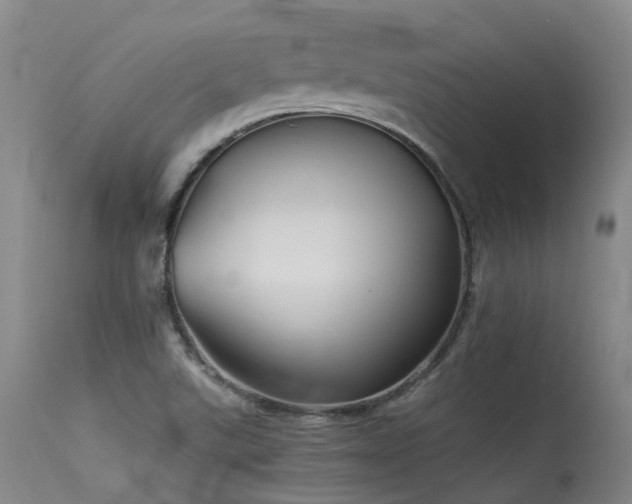 X0000115641507200911101505