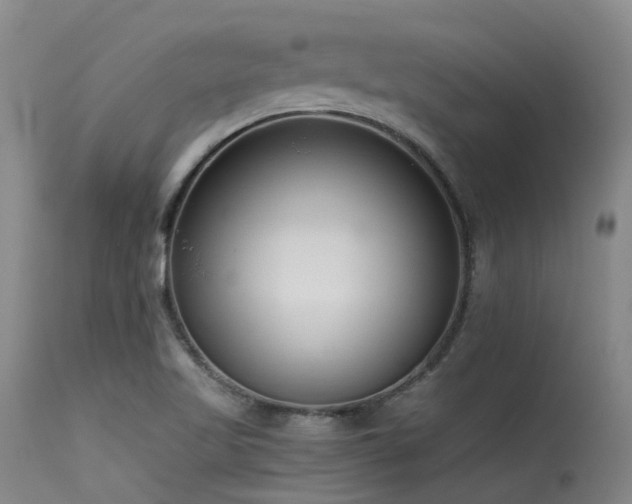 X0000115641509200911101505