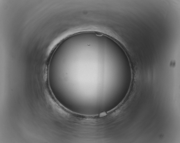 X0000115641510200911101505